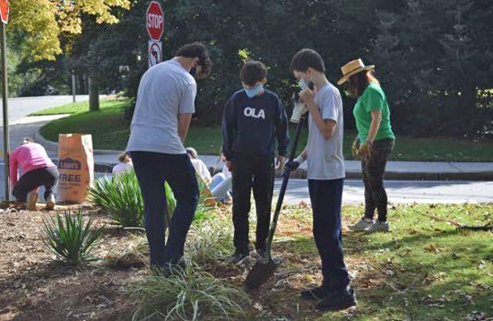 1120 Atlanta garden
