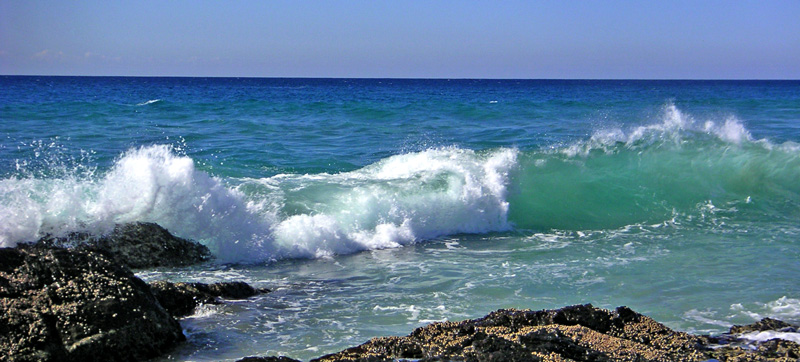 0120 Australia Day 3 0505 Currumbin 5 wavescrp