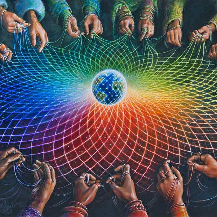 1019 Web of life Kivi