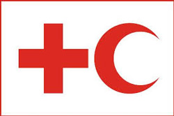0518 Red C C