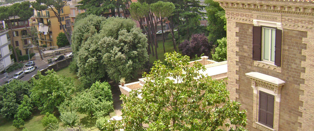 0220 Monteverde trees 9 0610 Rome 5b Gen House from roof 0519