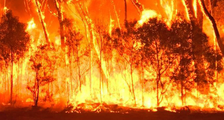 0220 bushfires e