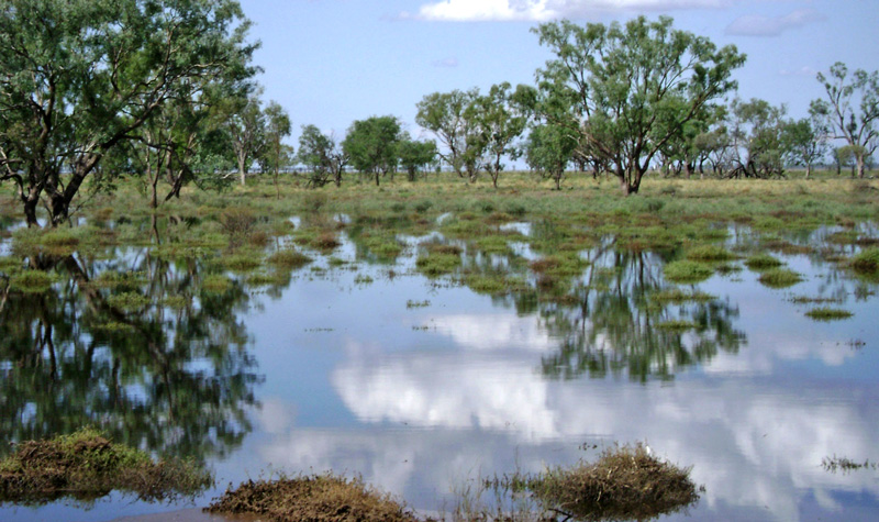 0120 Australia Day 1 0209 Walgett Hway 10b water trees reflections