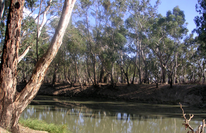 0120 Australia Day 9 0207 7BKR Balranald 3 river