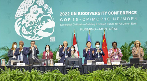 0123 Blog Biodiversity