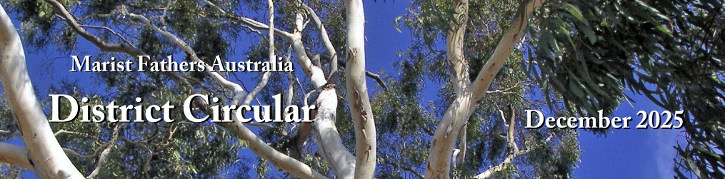 1225 Dist Circ banner