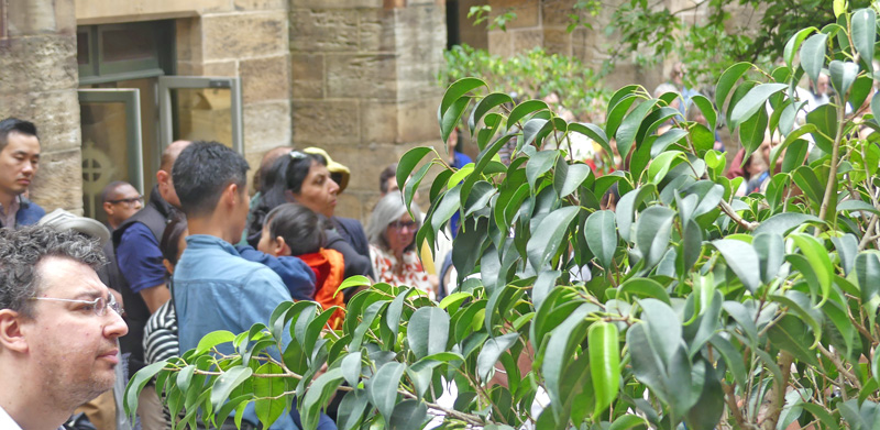 1225 SM St Patricks final 29