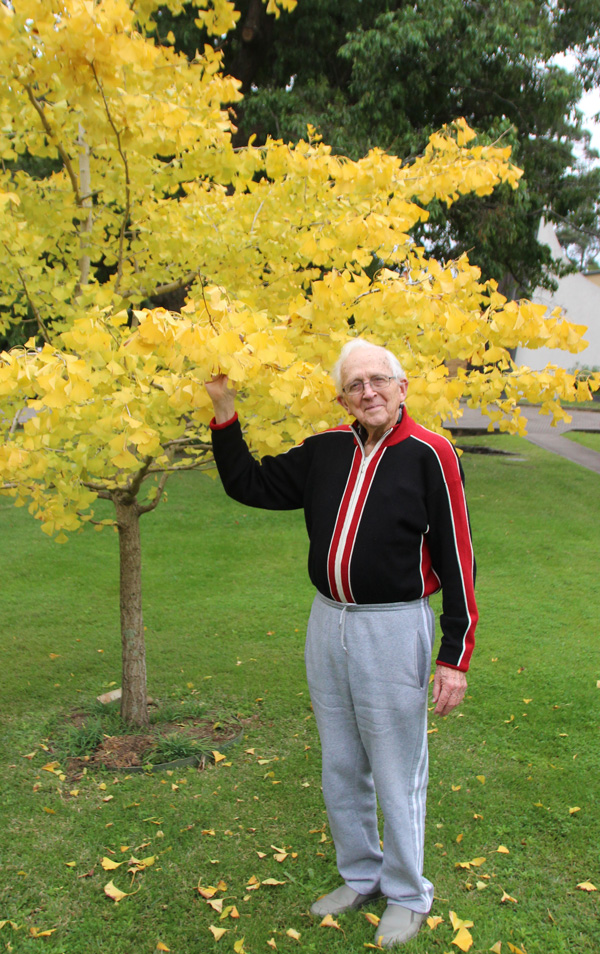 0520 Paul Glynn Ginkgo crp e