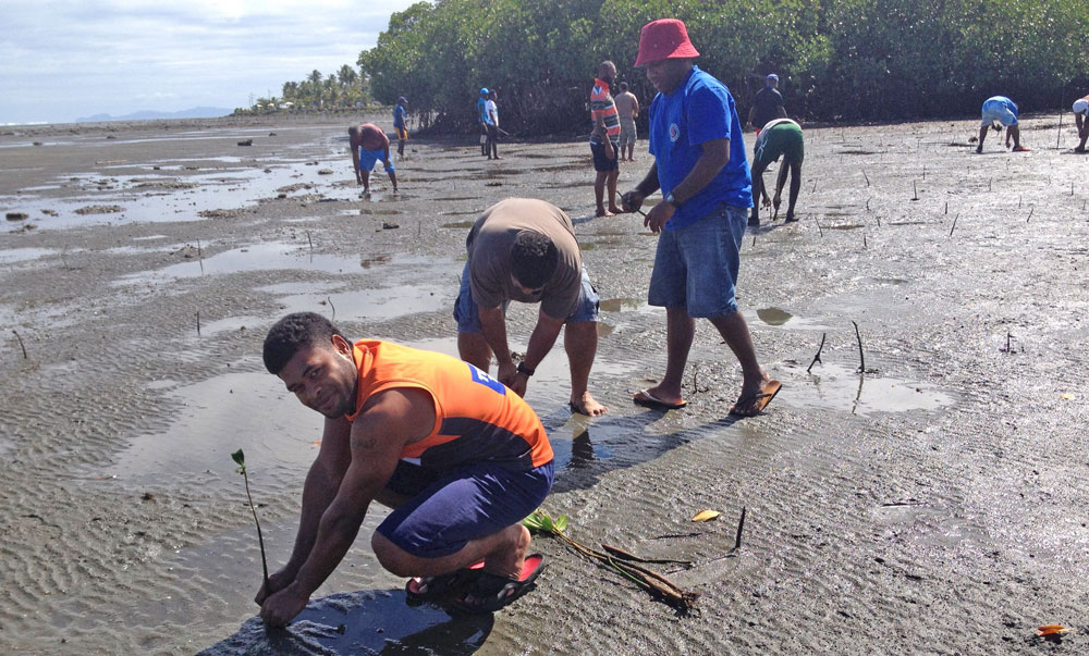 0119 blog Eco mangrove project 1018 2