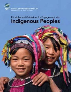 0419 PPP blog 1 b2ap3 large Indigenous Peoples GEF