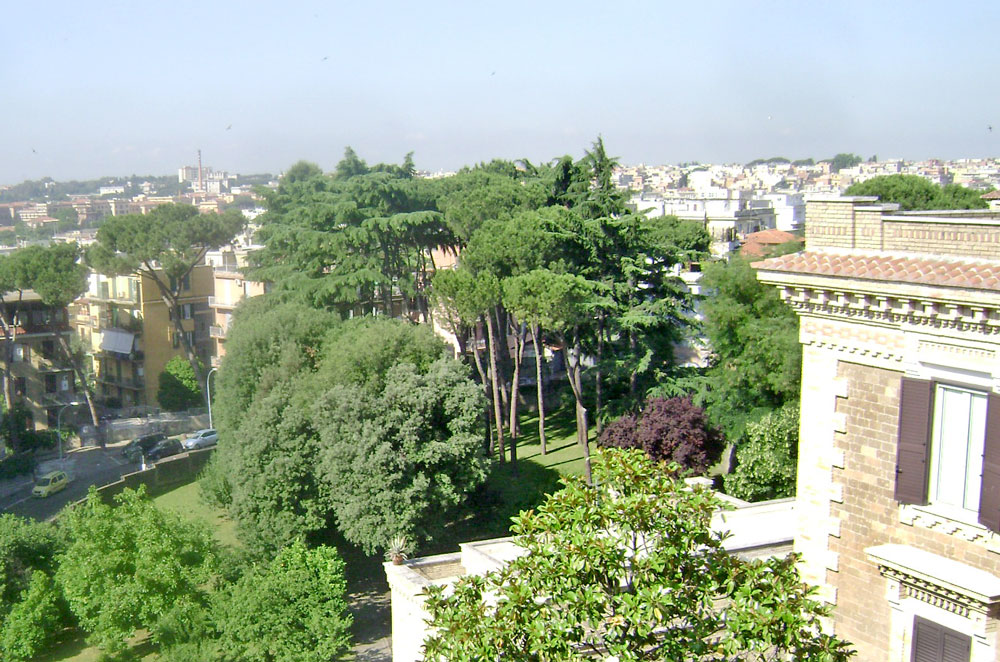 0519 Monteverde trees 10 0610 Rome 5f Gen House from roof