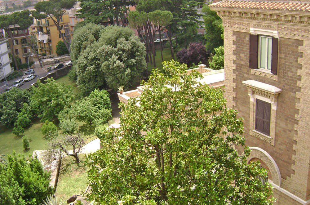 0519 Monteverde trees 9 0610 Rome 5b Gen House from roof